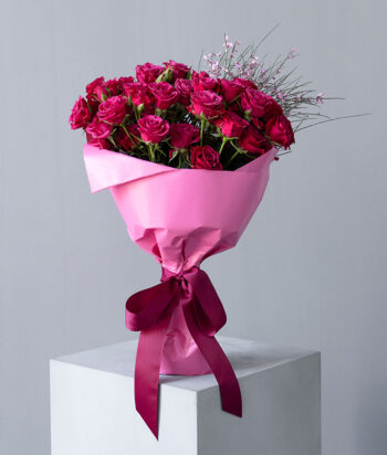 Fuchsia Charm