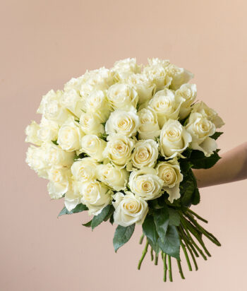 Ivory Symphony