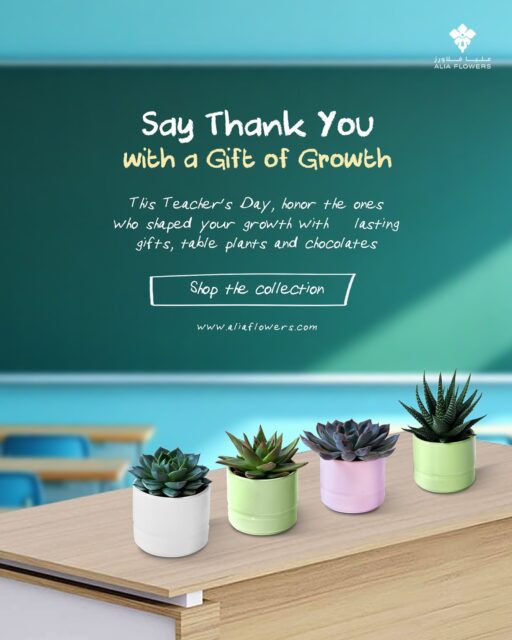 🌿✨ This Teachers’ Day, say Thank You with more than just words — gift them something that grows, just like their impact. 💚
Celebrate the mentors who nurture futures with our special Teachers’ Day Collection.
👉 SHOP NOW and honor your teacher with a growing gift.

#Aliaflowers #TeachersDay #GrowingGift #aliaflowers #ThankYouTeacher #TeachersDayCollection #GratitudeInBloom #GiftThatGrows #CelebrateTeachers #aliaflowersbahrain #aliaflowersksa