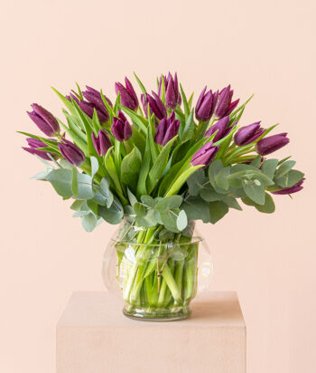 Velvet Blooms