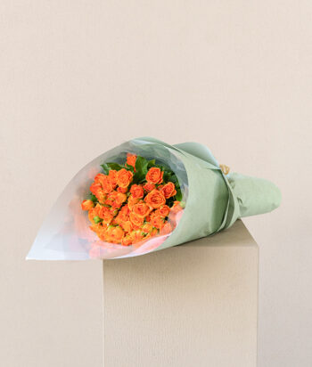 Citrus Bliss