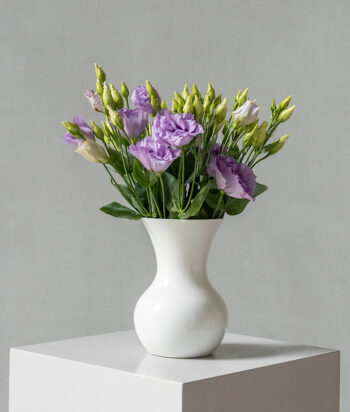 Lilac Breeze