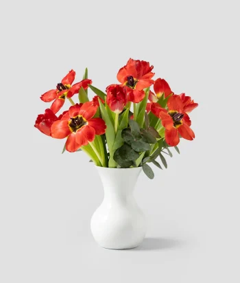 Fiery Elegance