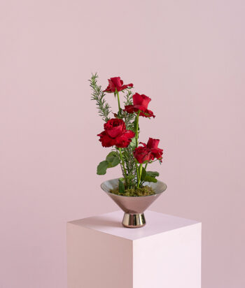 Red Grace