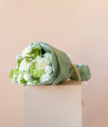 Verdant Elegance