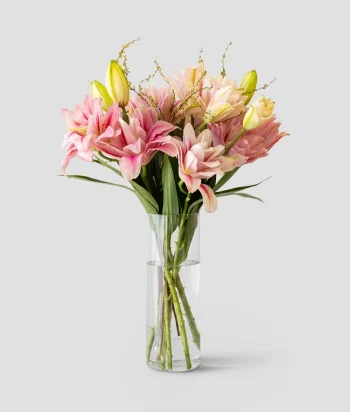 rose lilies