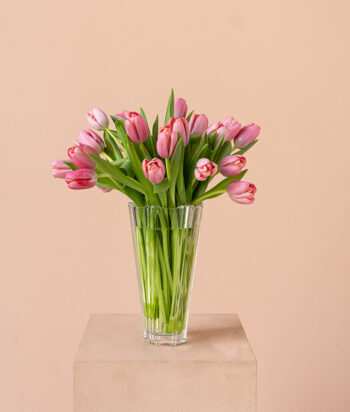 Blushing Tulips