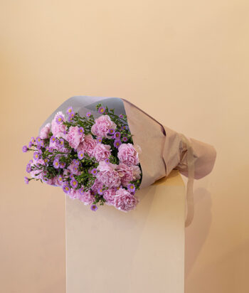 Carnation Bliss