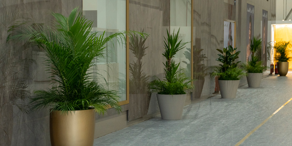 About-us-Page-Banner-4-Plant-Maintenance