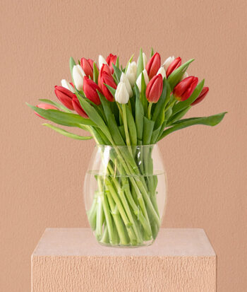 Patriotic Blooms