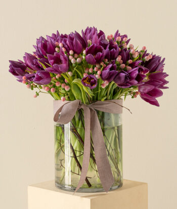 Plum Radiance