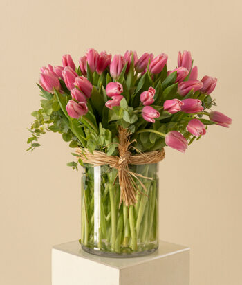 Blush Meadow