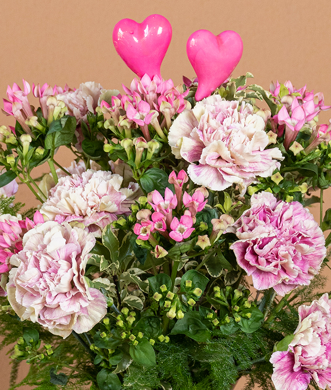 Love in Pink - Image 2