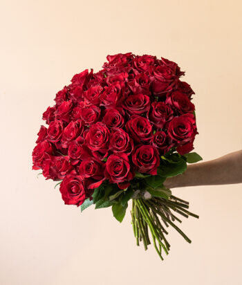 Infinite Romance