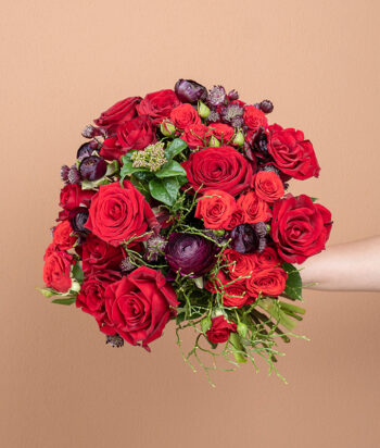 Midnight Rose