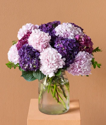Haven Bloom