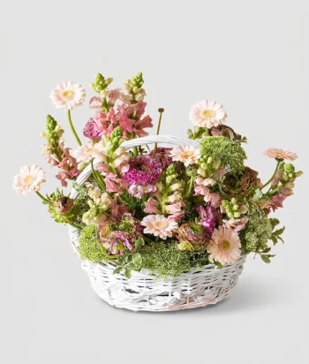 Heartwarming Blossoms