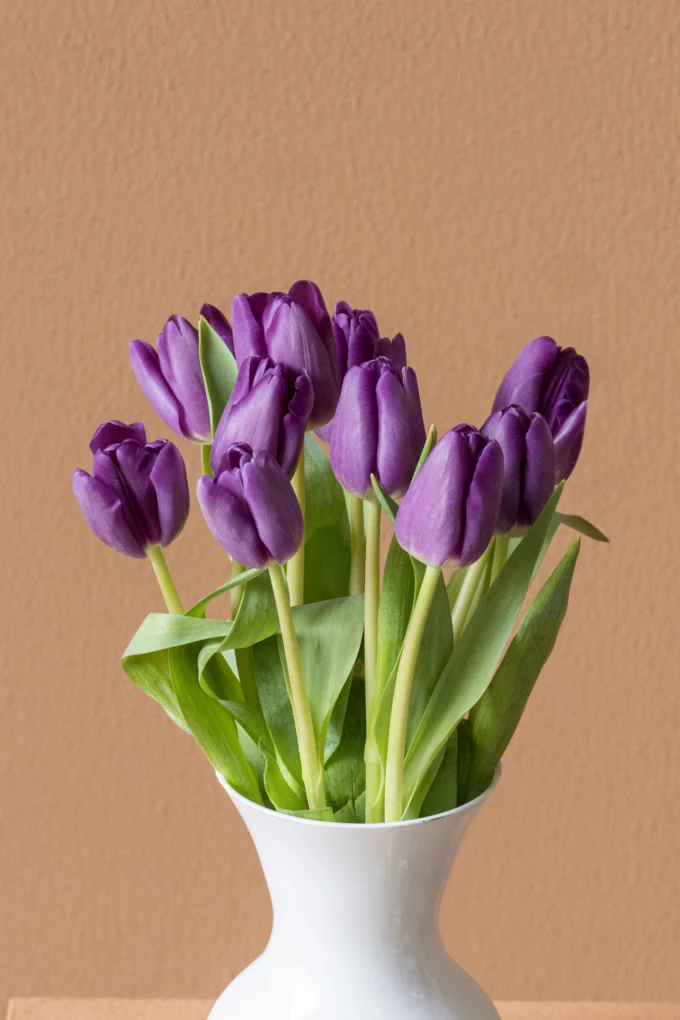 Purple Bliss - Image 2