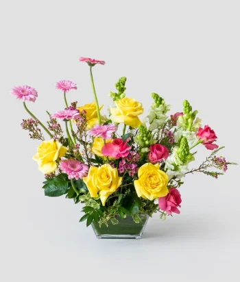 Radiant Garden