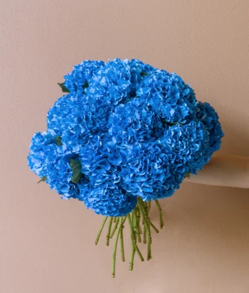 Azure Bloom