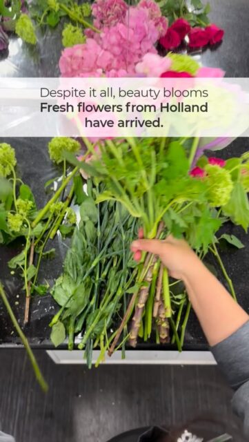 Even in challenging times,
nature reminds us to celebrate love.
Our fresh blooms from Holland are here, waiting to brighten your Mother’s Day
#aliaflowers #mothersdaybahrain #freshblooms #mothersdaygift #mothersdayflower