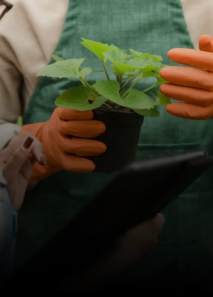 Plant Expert Job in bahrain