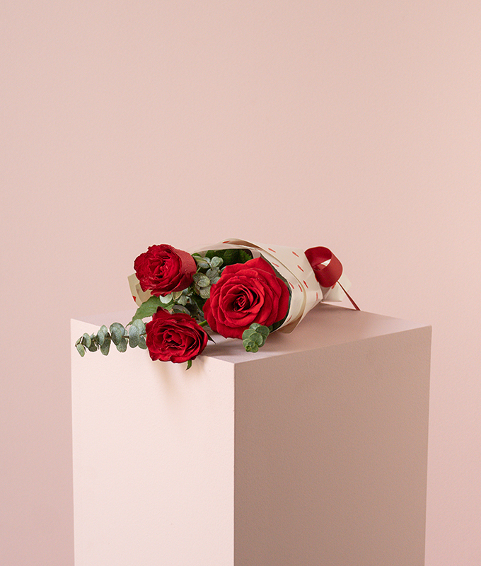 3-red-roses-with-fillers-alia-flowers