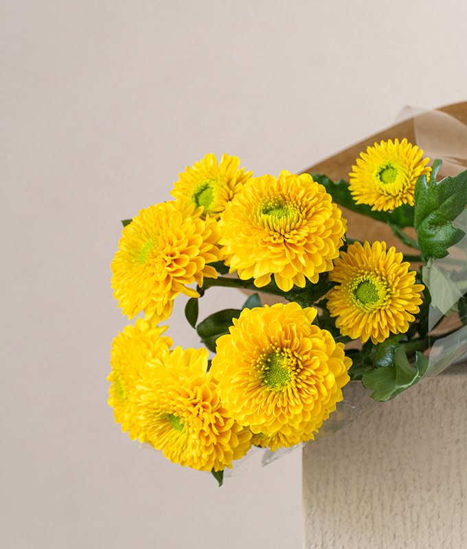 Flowers Page 3 Alia Flowers