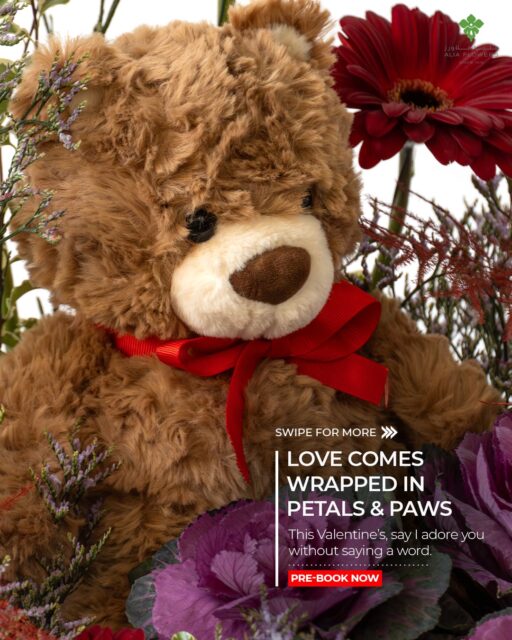 Don’t leave love to the last minute.
✨ Pre-book our Beary Beloved box today and have the cutest surprise ready for Valentine’s night.

#aliaflowers #ValentinesPreBooking #LoveInBloom #ValentinesGift #flowerandplush