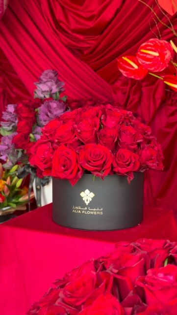 Not all love stories look alike…
And neither should the flowers that say “I love you.”

Not all love stories look alike…
And neither should the flowers that say “I love you.”

Discover standout designs from our Premium Valentine’s Collection, curated to make hearts melt and moments unforgettable.
Limited quantities only—reserve your favourite before it’s gone.❤️
#ValentinesDay #PremiumBlooms #BahrainFlorist #LoveInBloom #aliaflowers