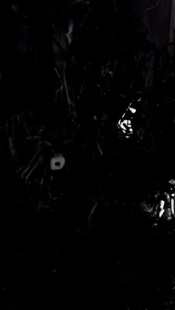 Planning late? 
Don’t panic — there’s still time 👻
We’re taking final Halloween bookings for bouquets, table setups & full décor installs.
Visit our website & lock your slot before it’s too late.

#Halloween2025 #HalloweenDecor #SpookySeason #SpookyVibes #HalloweenParty #aliaflowers #HalloweenIdeas #HalloweenArrangement  #aliaflowersksa #HalloweenAesthetic #aliaflowersbahrain #CreepyDecor #HalloweenTable