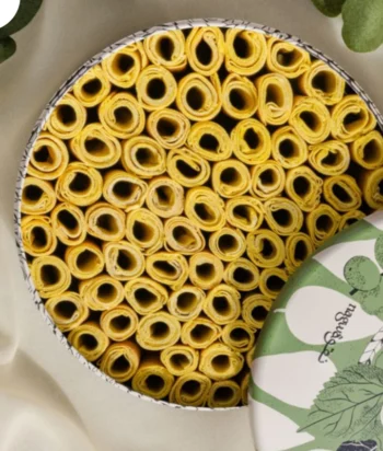 Darabeel Cinnamon R3