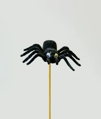 Halloween Spider