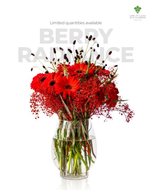Berry Radiance is for the lovers who want to be seen. Not subtle, but unforgettable. Bold reds, rich textures, and a bouquet that says “this love is different.”

✨ Pre-book now to secure your Valentine’s surprise before slots fill up.

#ValentinesPreBooking #BerryRadiance #aliaflowers #ValentinesFlowers #joyfulgifting
