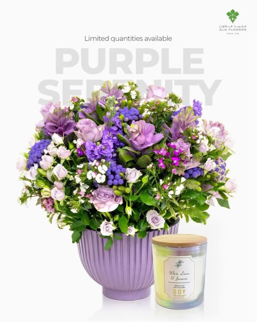 Purple Serenity 💜
Soft lilac blooms and a soothing jasmine soy candle come together in one elegant gift: the perfect way to wrap her in peace and love this Mother’s Day.
Limited quantities available, order now via WhatsApp or aliaflowers.com.

#PurpleSerenity #MothersDayBahrain #AliaFlowers #FlowerDeliveryBahrain #mothersdaygift