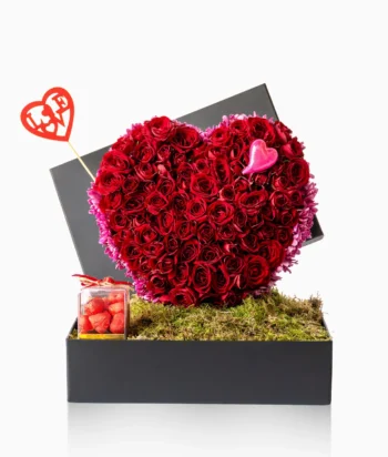 The Heart’s Treasure