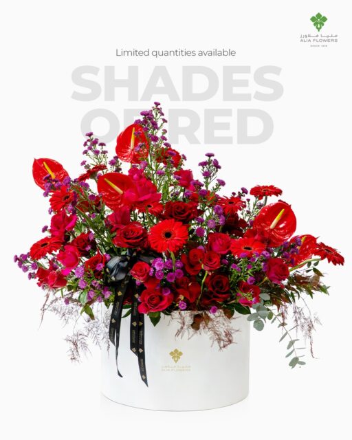 All the romance, all in red. 🌹
Shades of Red – made to steal hearts and turn heads this Valentine’s. ❤️
Limited quantities only, so book now and secure an unforgettable surprise before our slots fill up. ✨
Who are you sending this to? Tag them below. 💌

#ShadesOfRed #RomanticBlooms #ValentinesFlowers #aliaflowers