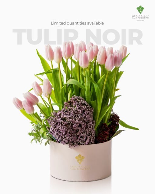 Tulip Noir, where softness meets quiet romance. 🌷
A garden of blush tulips in full bloom, designed for lovers of understated luxury. 💕
Limited quantities only – book now and secure an unforgettable Valentine’s surprise before our slots fill up. 💌
Who would you spoil with this? Tag them below. ✨

#TulipNoir #TulipLove #RomanticBlooms #GardenStyle #aliaflowers
