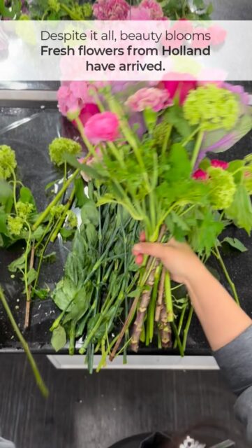 Even in challenging times,
nature reminds us to celebrate love.
Our fresh blooms from Holland are here, waiting to brighten your Mother’s Day
#aliaflowers #mothersdaybahrain #freshblooms #mothersdaygift #mothersdayflower