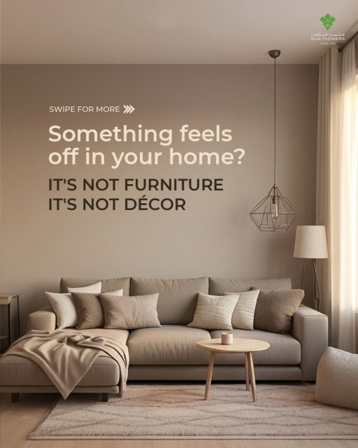 Your home isn’t just a place to live. It’s a place to feel.

The right indoor plant does more than fill an empty corner. It brings life, balance, and a sense of calm to every room. 🌿

Whether you have a bright living room, a cozy bedroom, or a quiet office, we’ll help you find the perfect plant and the perfect place for it.

Let’s create a greener, healthier, and more beautiful home, one plant at a time.

💬 Book your FREE Indoor Plant Consultation on WhatsApp: +973-17781212. Our plant experts will help you choose the perfect plants for your home.

#aliaflowers #IndoorPlants #HomeDecor #GreenLiving #InteriorStyling